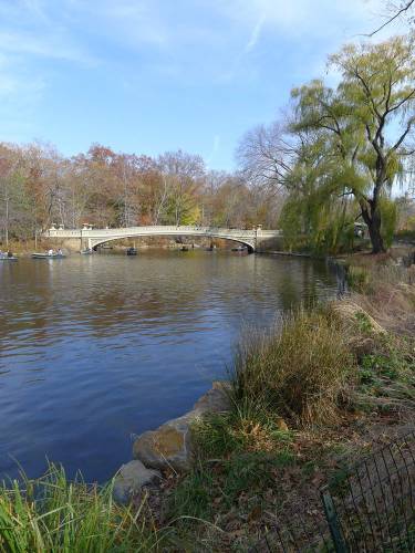 USA_2011-11-20 12-32-34